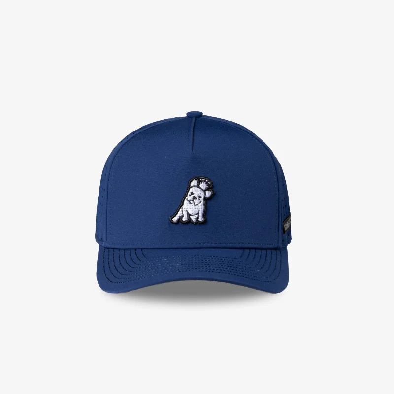 James Bark Royal Recycled Cap